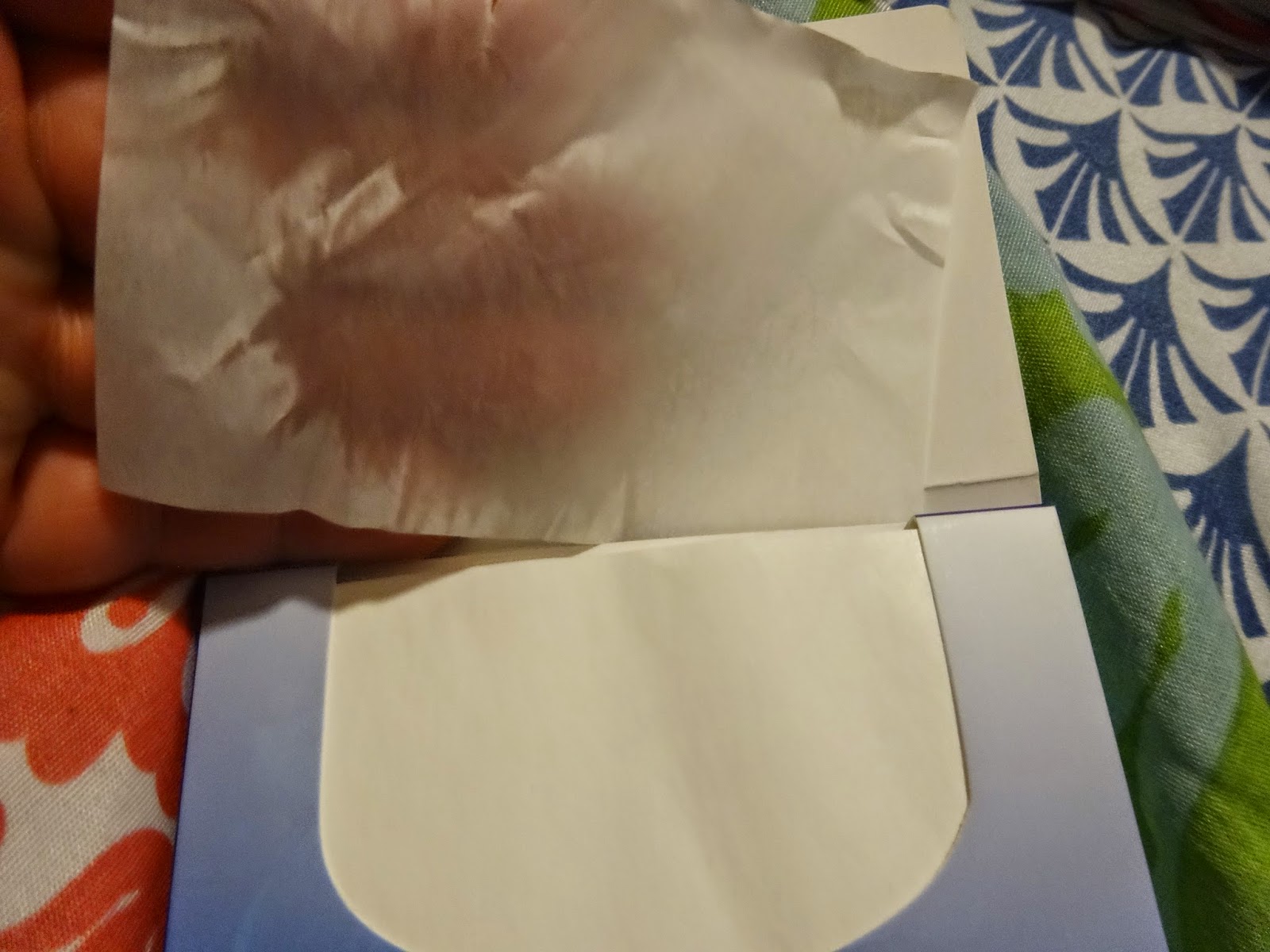 DarkAayala's Blog Facial Blotting Paper [Day by Day Beauty] Review